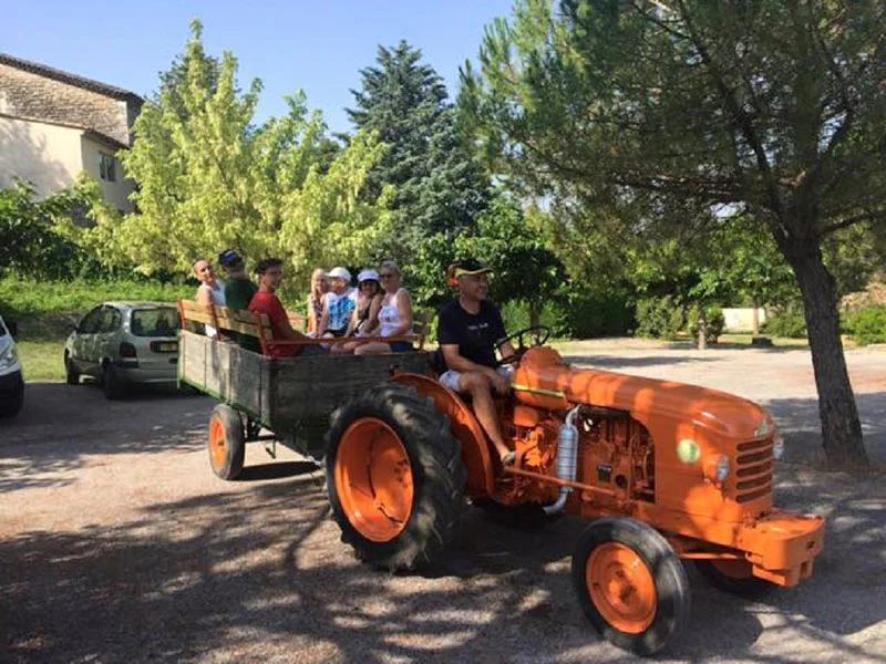 CampingLeChamadou-sudardeche-4etoiles-miniferme-tracteur.jpg