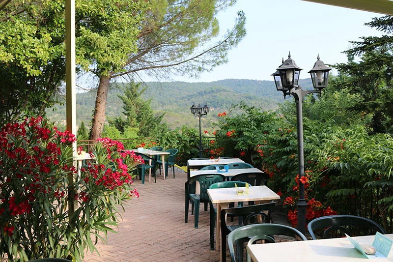CampingLeChamadou-sudardeche-4etoiles-restaurant2.jpg
