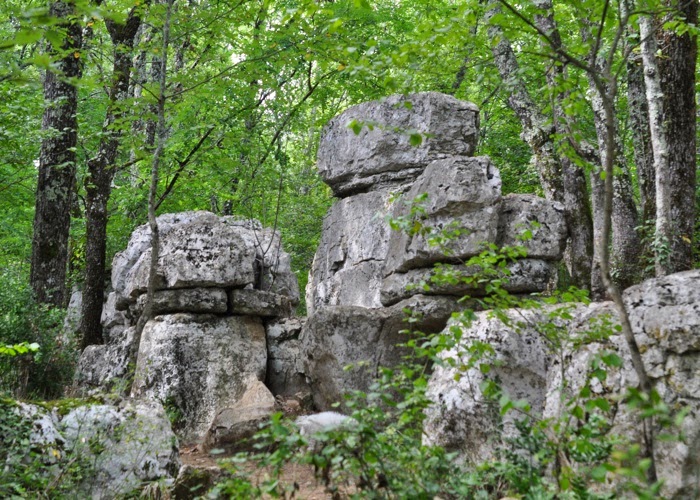 CampingLeChamadou-sudardeche-4etoiles-ardeche-patrimoinenaturel-leboisdepaiolive.jpg
