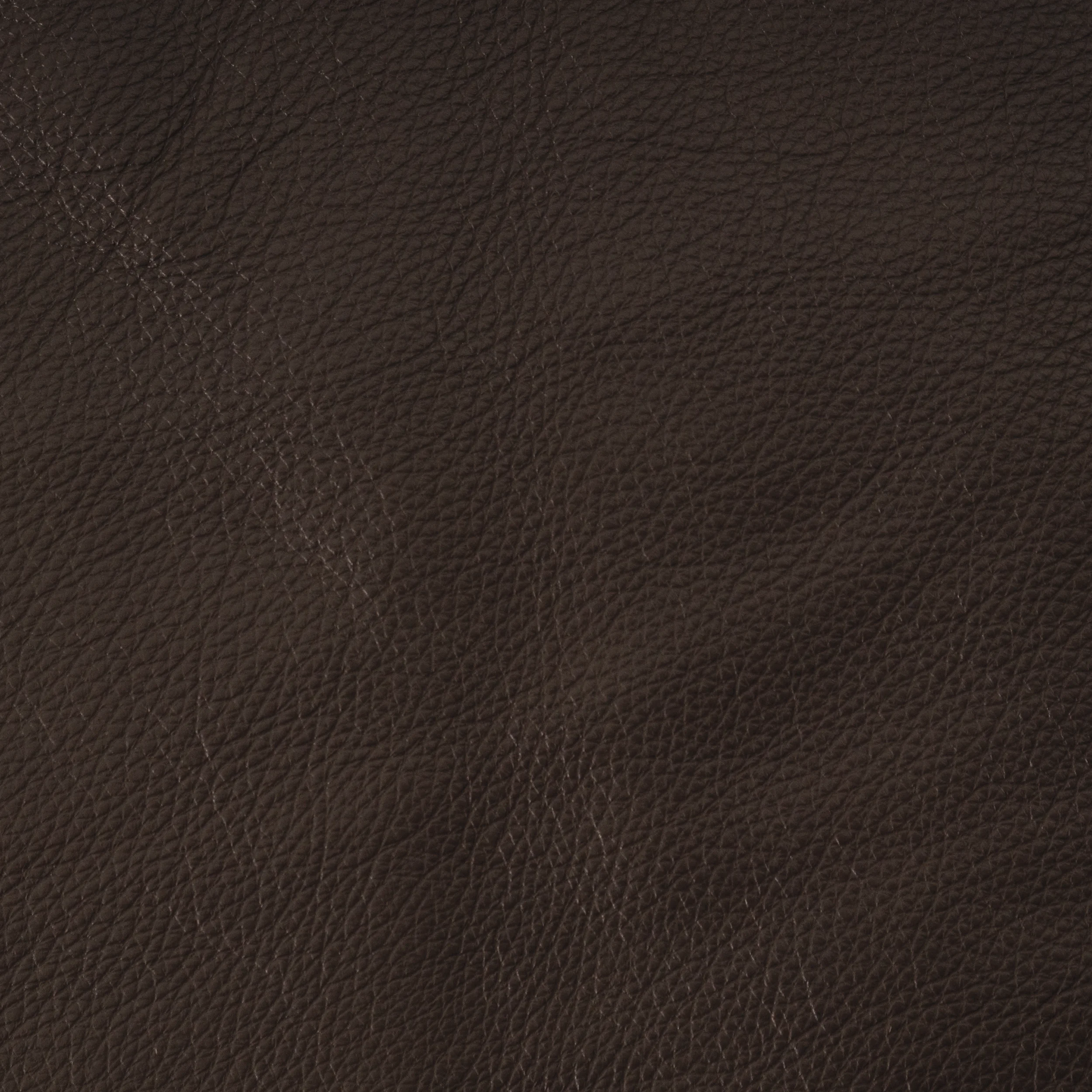 Mesa Espresso Leather Standard Leather Content: South American Cowhide Country of Finish: South America Finish: Semi Aniline