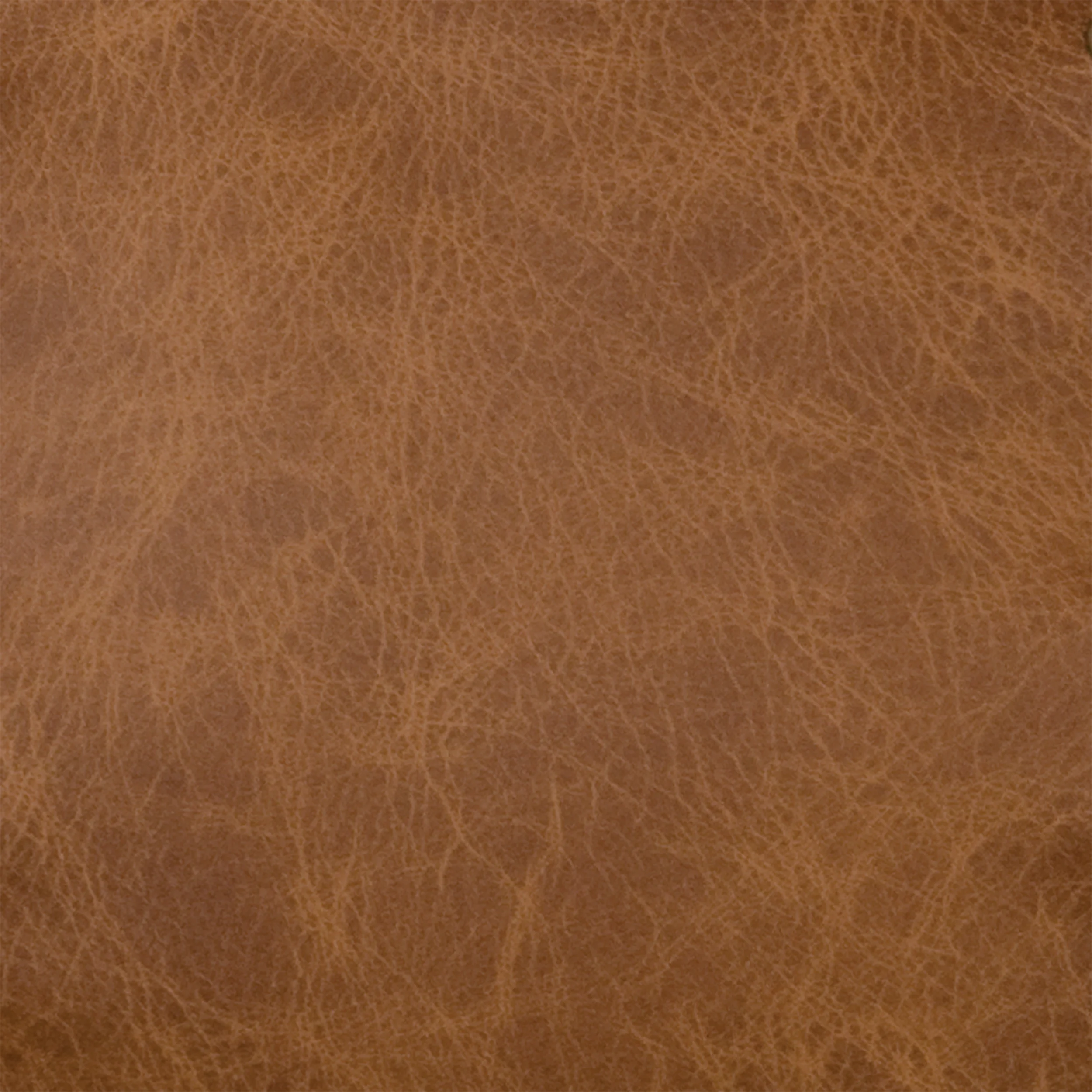 Whiskey Leather