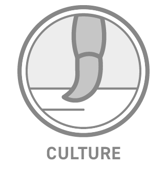 profolio icon-12.png
