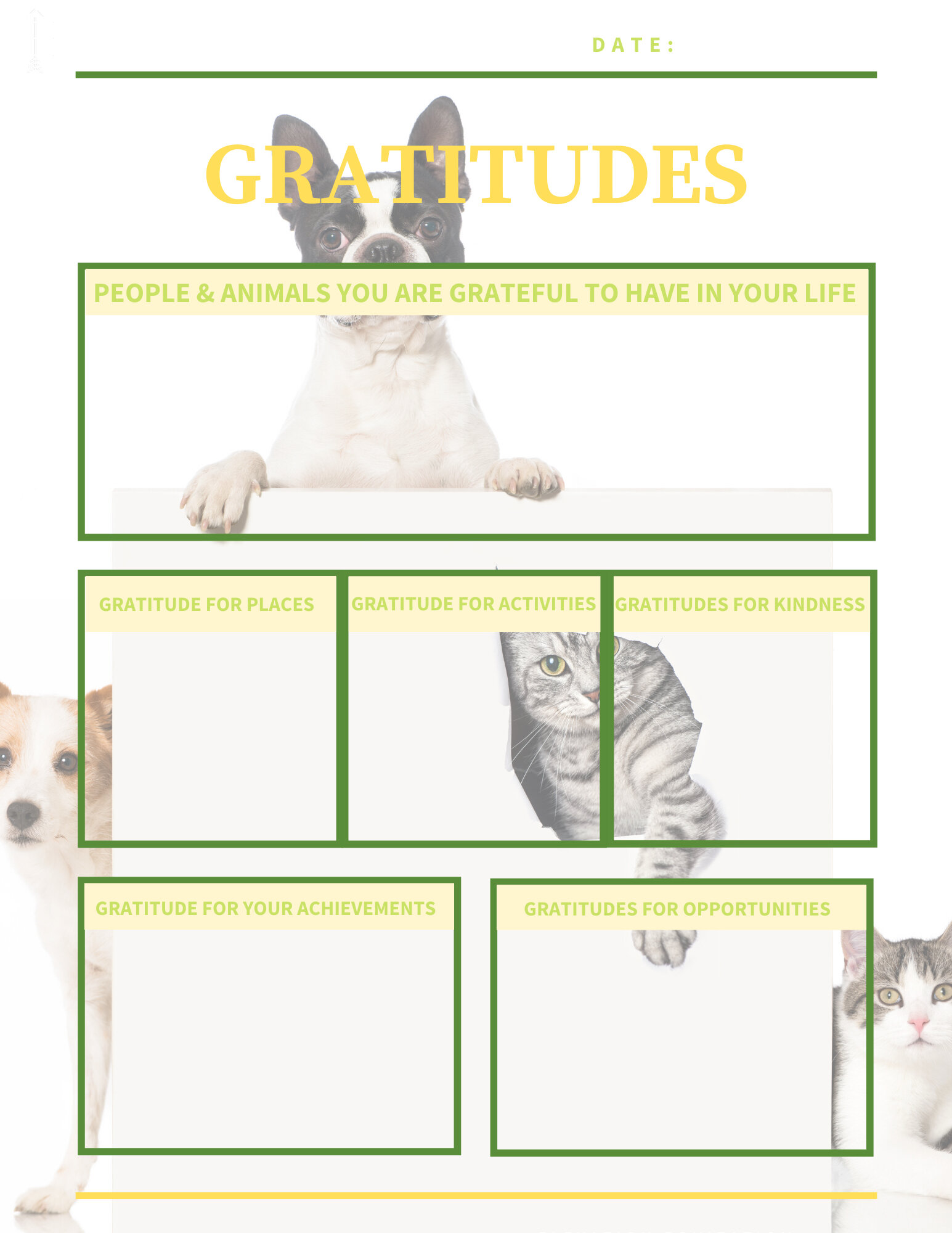 Gratitudes Dog