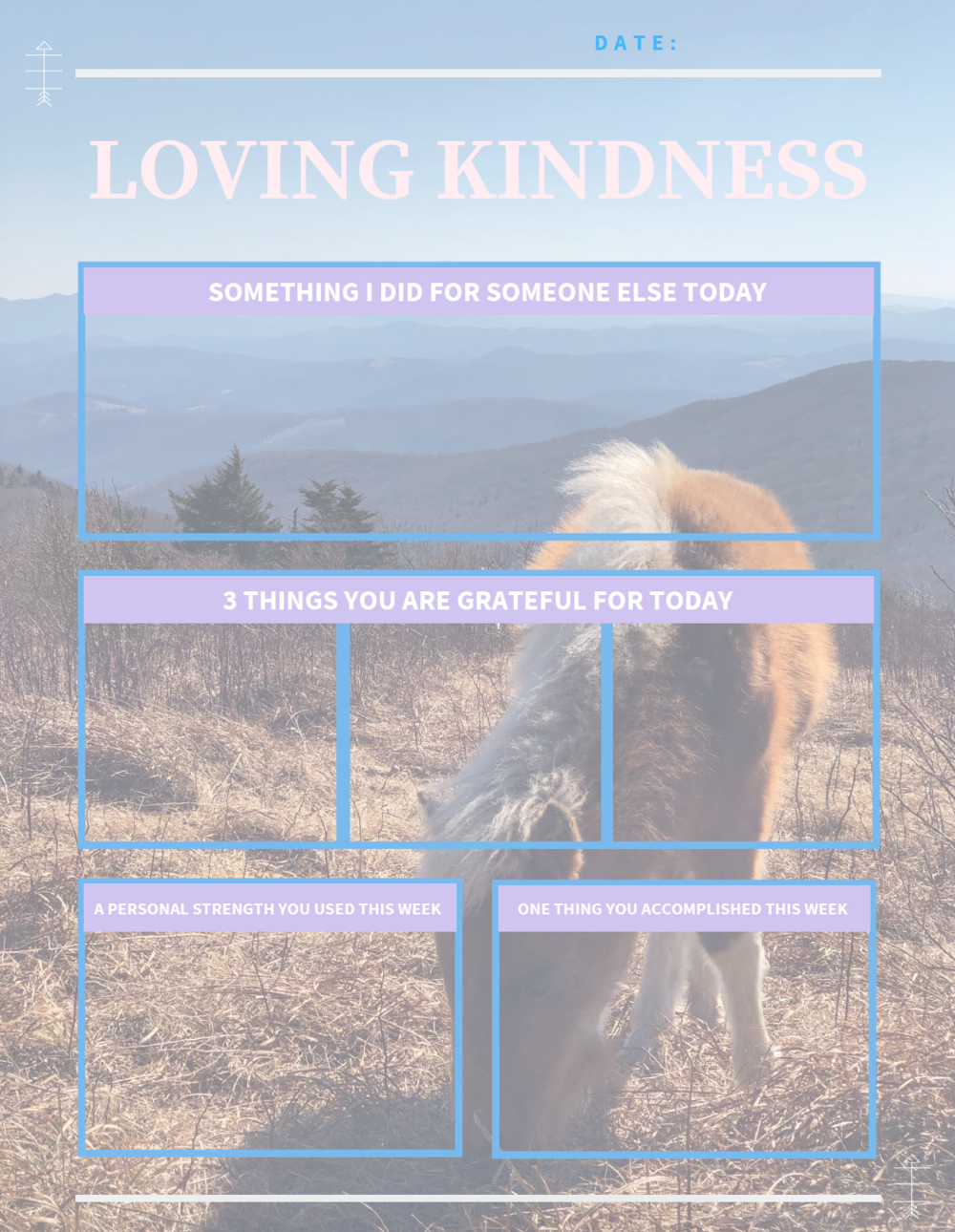 Self-Love &amp; Kindness