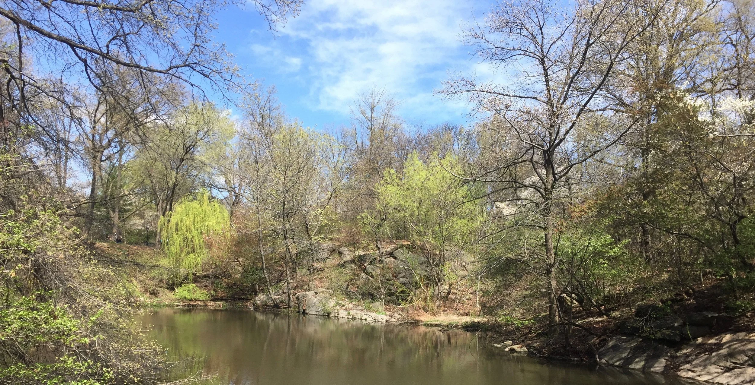 Mindfulness Based Stress Reduction at the JCC in Manhattan: Now in Person!