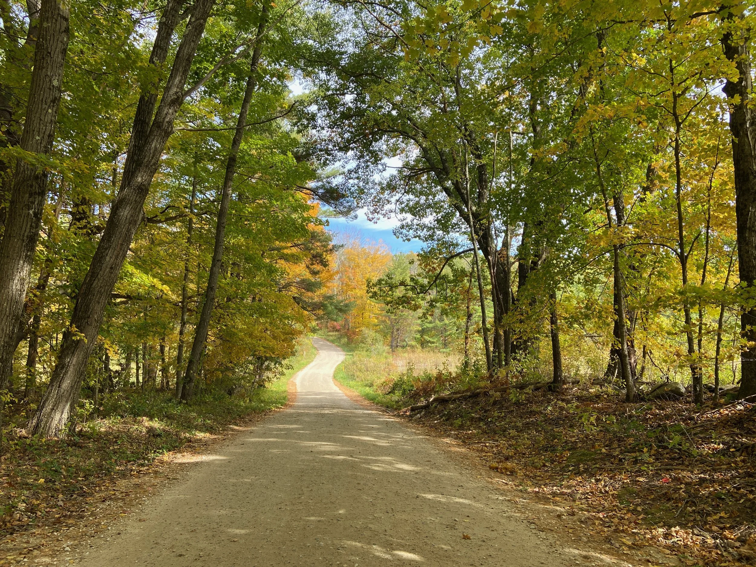  The Noble Eightfold Path: The Path to Freedom from Habitual Worry, Reactivity, and Obsession