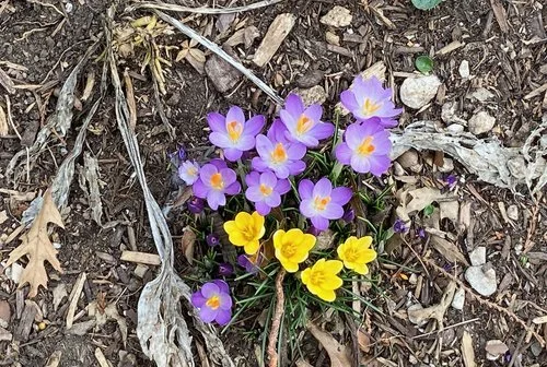 In Person: Wednesday mornings Mindfulness Based Stress Reduction through New York Insight Meditation Center