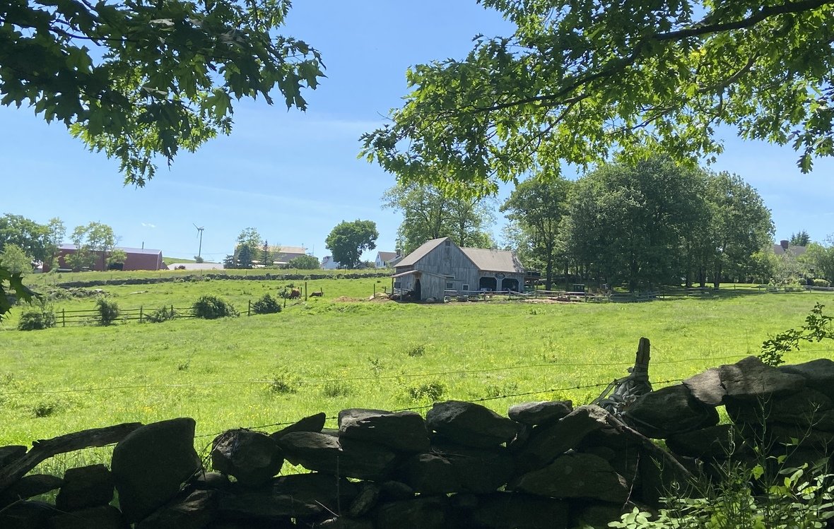 In-Person and Online: Day of Insight – A Daylong Meditation Retreat with Elaine Retholtz
