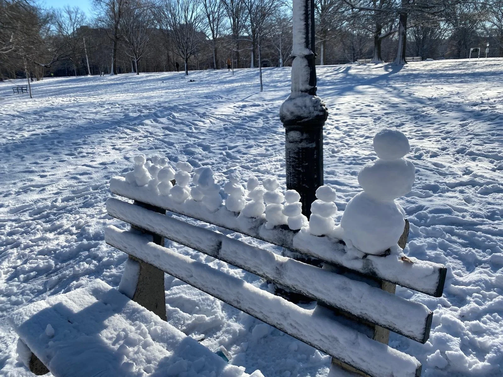 In-Person and Online: Day of Insight – A Daylong Meditation Retreat with Elaine Retholtz  and Lani Miller