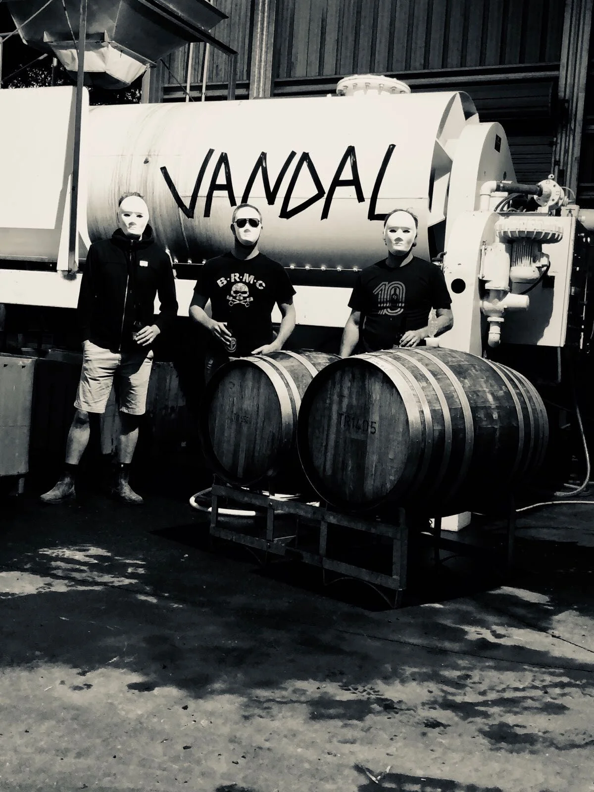 VANDAL BOYS.jpeg