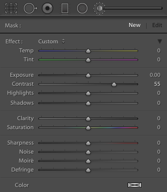 The Adjustment Brush tool settings