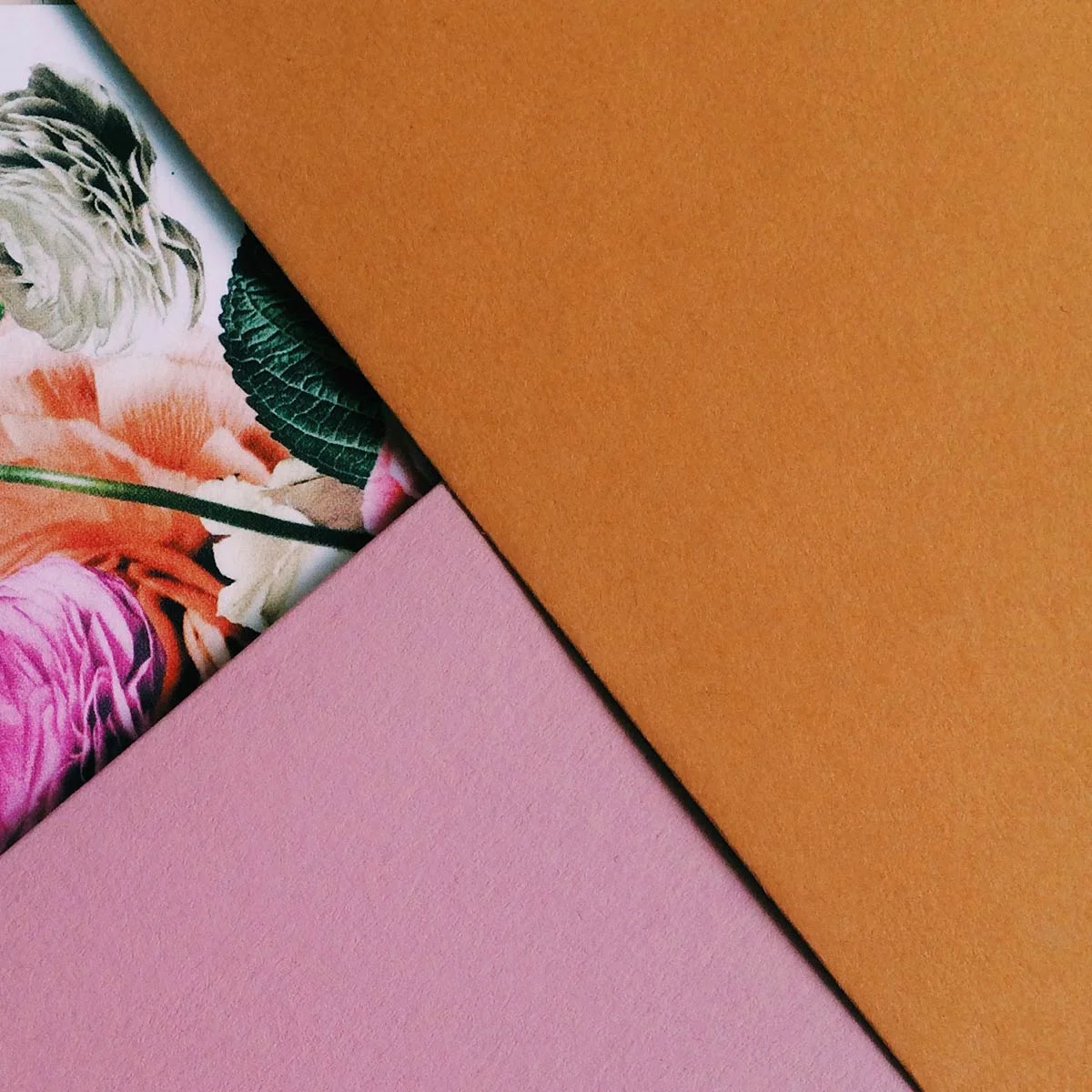 Venamour_Wildflower_VisualCatalog_03.jpg