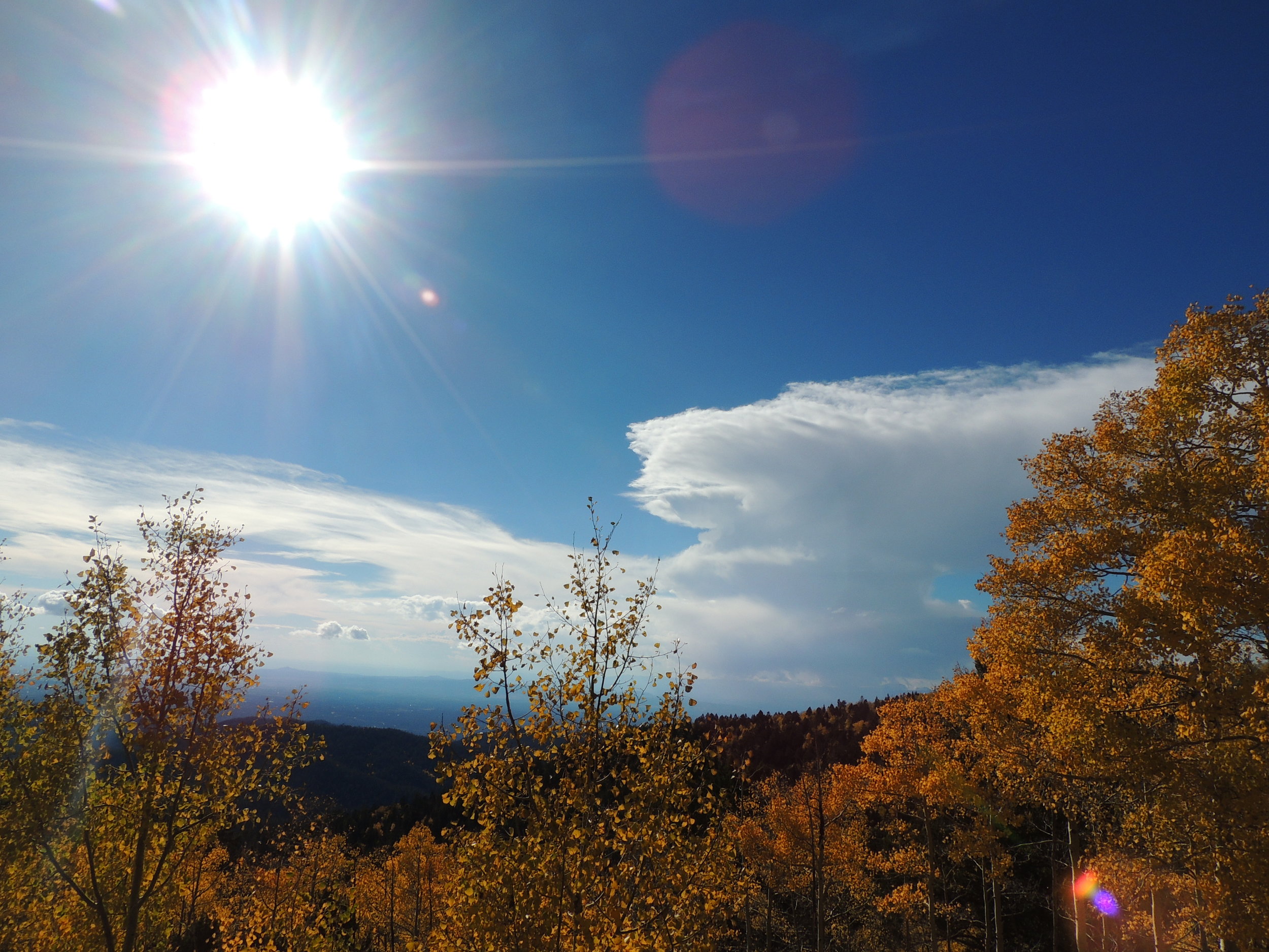 DSCN7055.JPG