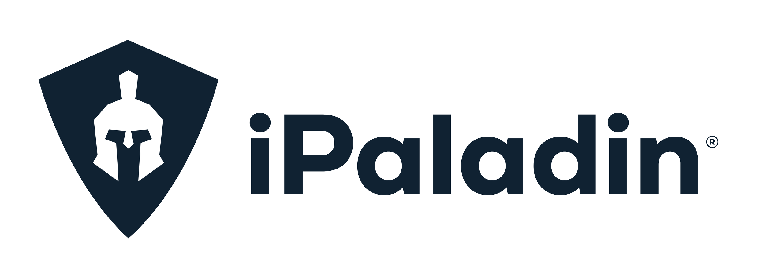 iPaladin_Blue_Logo.png