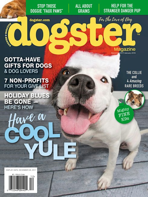 dogsterdec2017.jpg