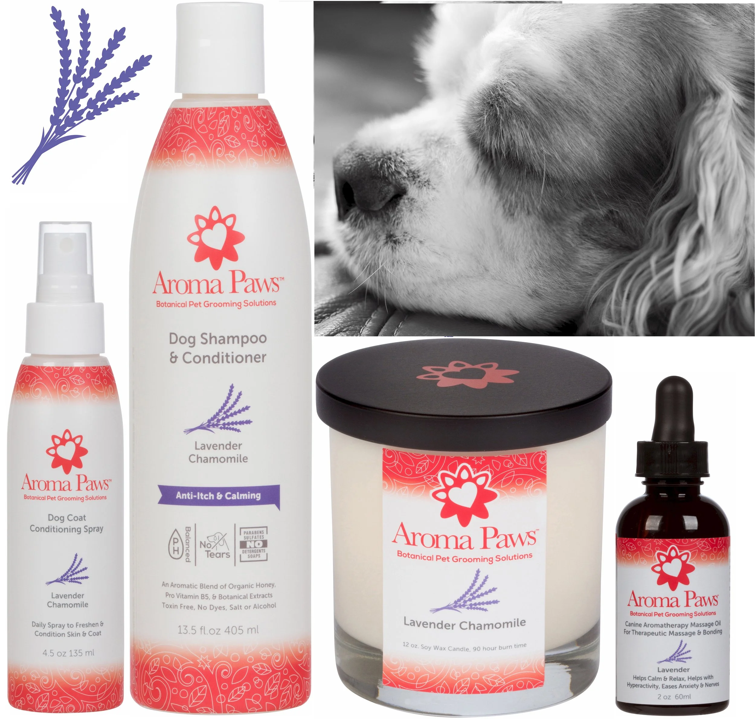 canine aromatherapy