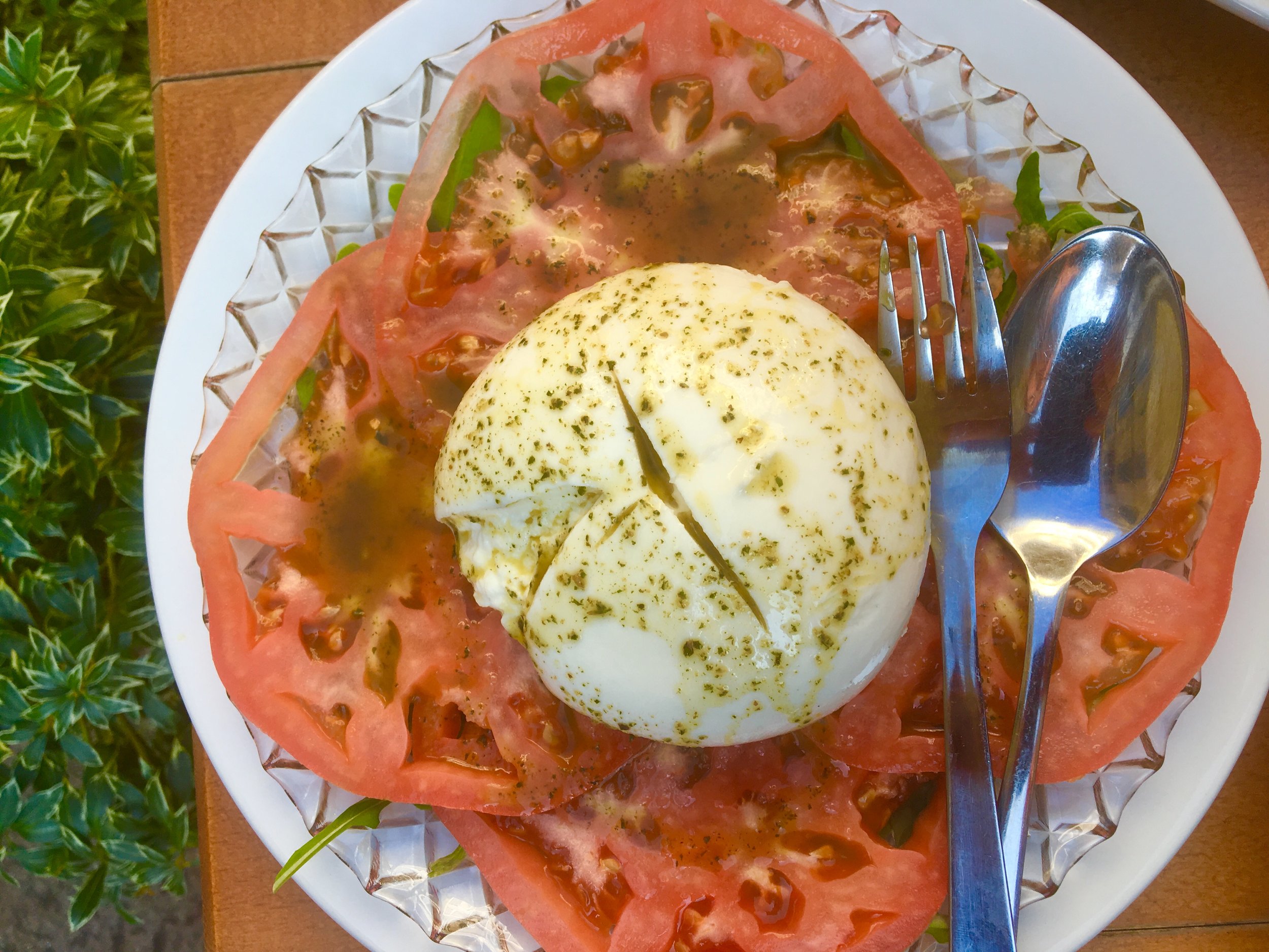 Burrata Salad