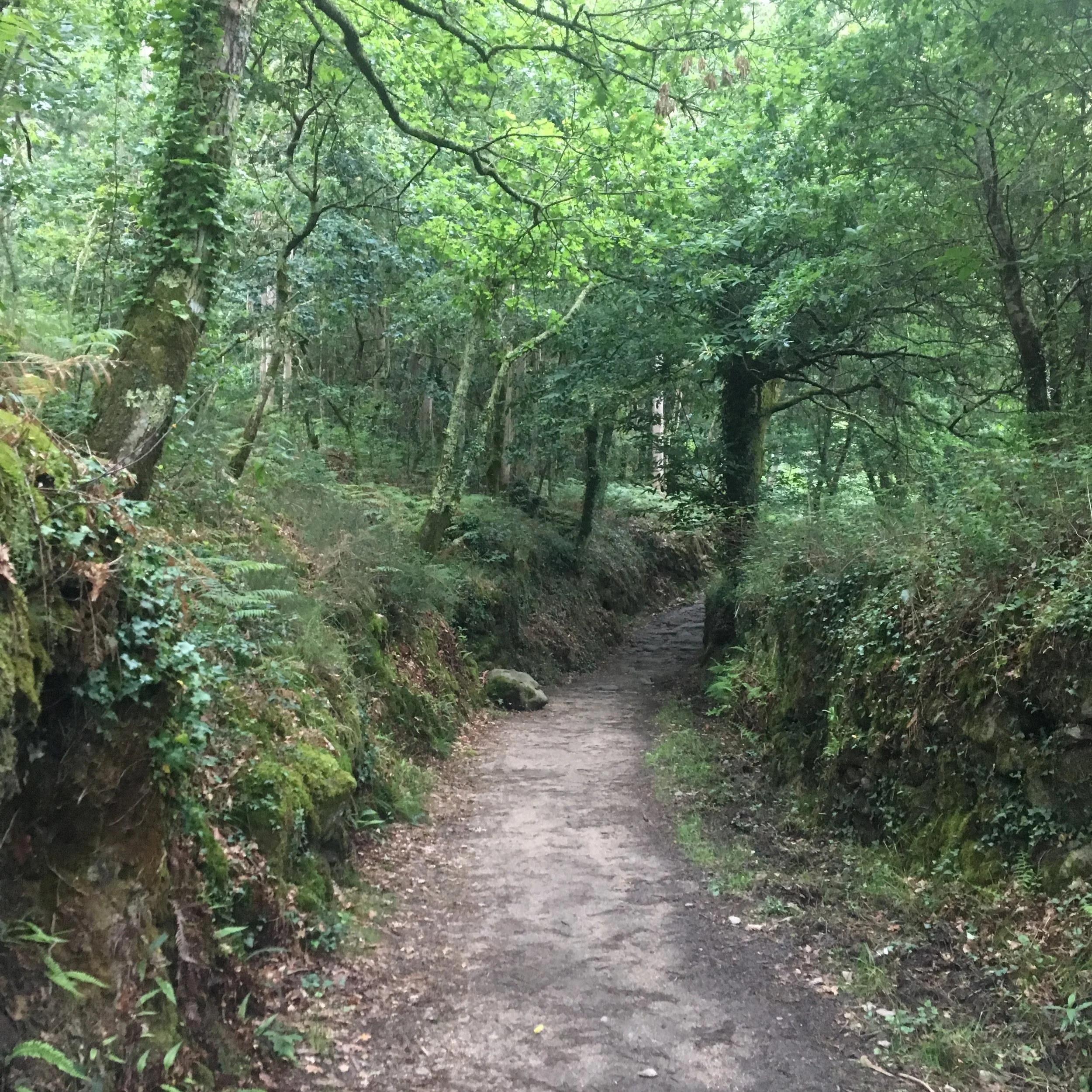 Roman path