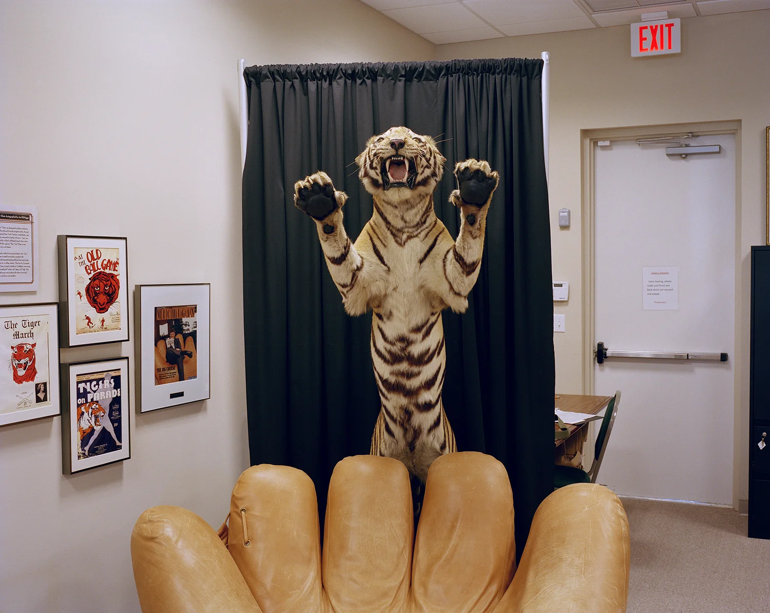 18_Tiger.jpg