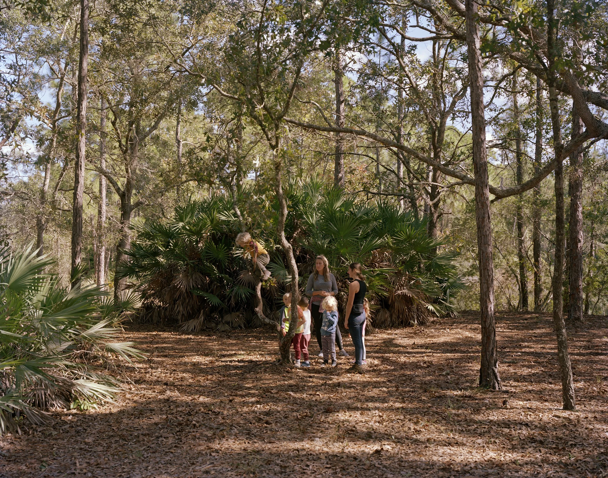 Flatwood Forest School 