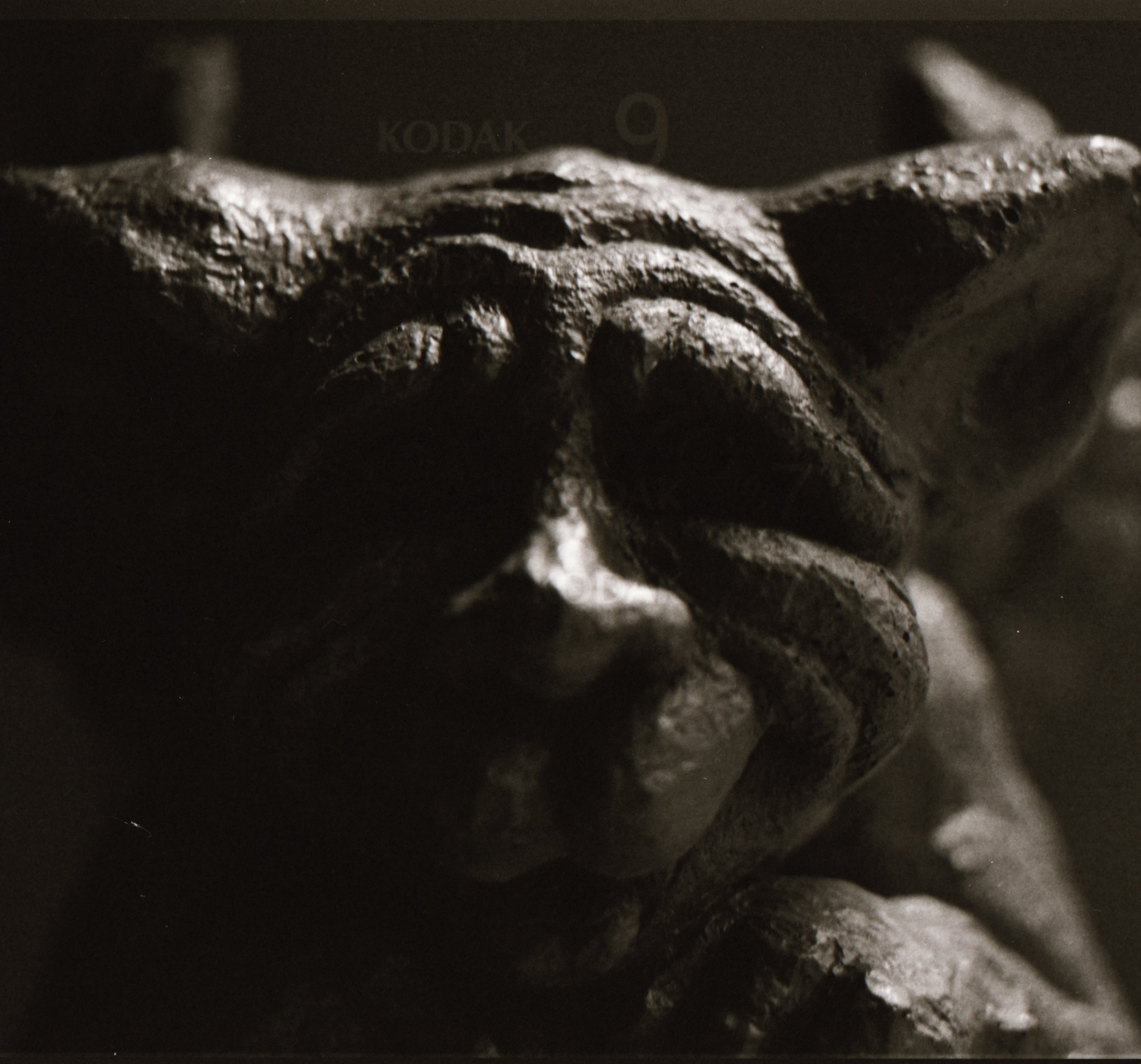 gargoyles