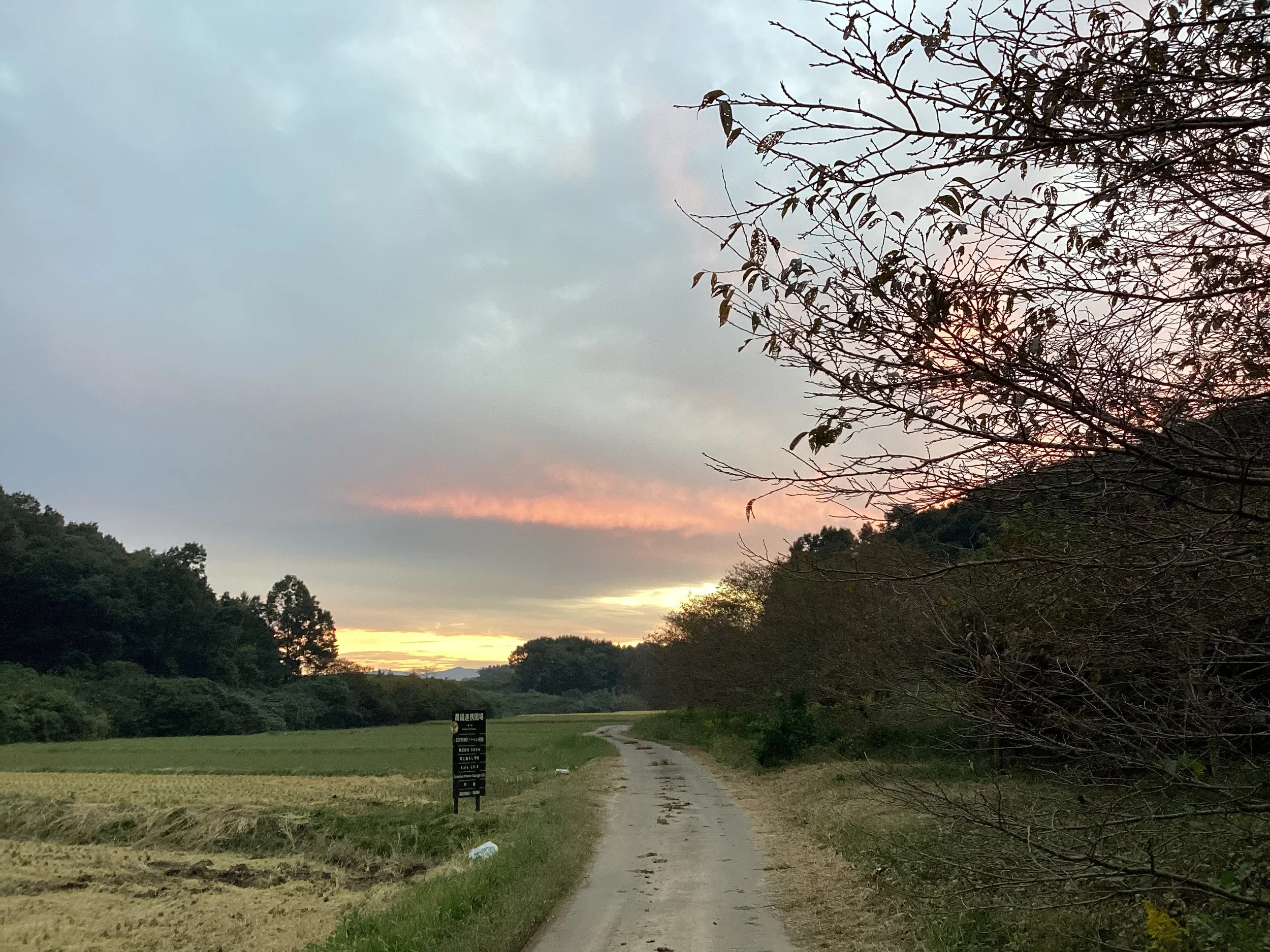 日本の空は何故こんなにも低いのだろう？