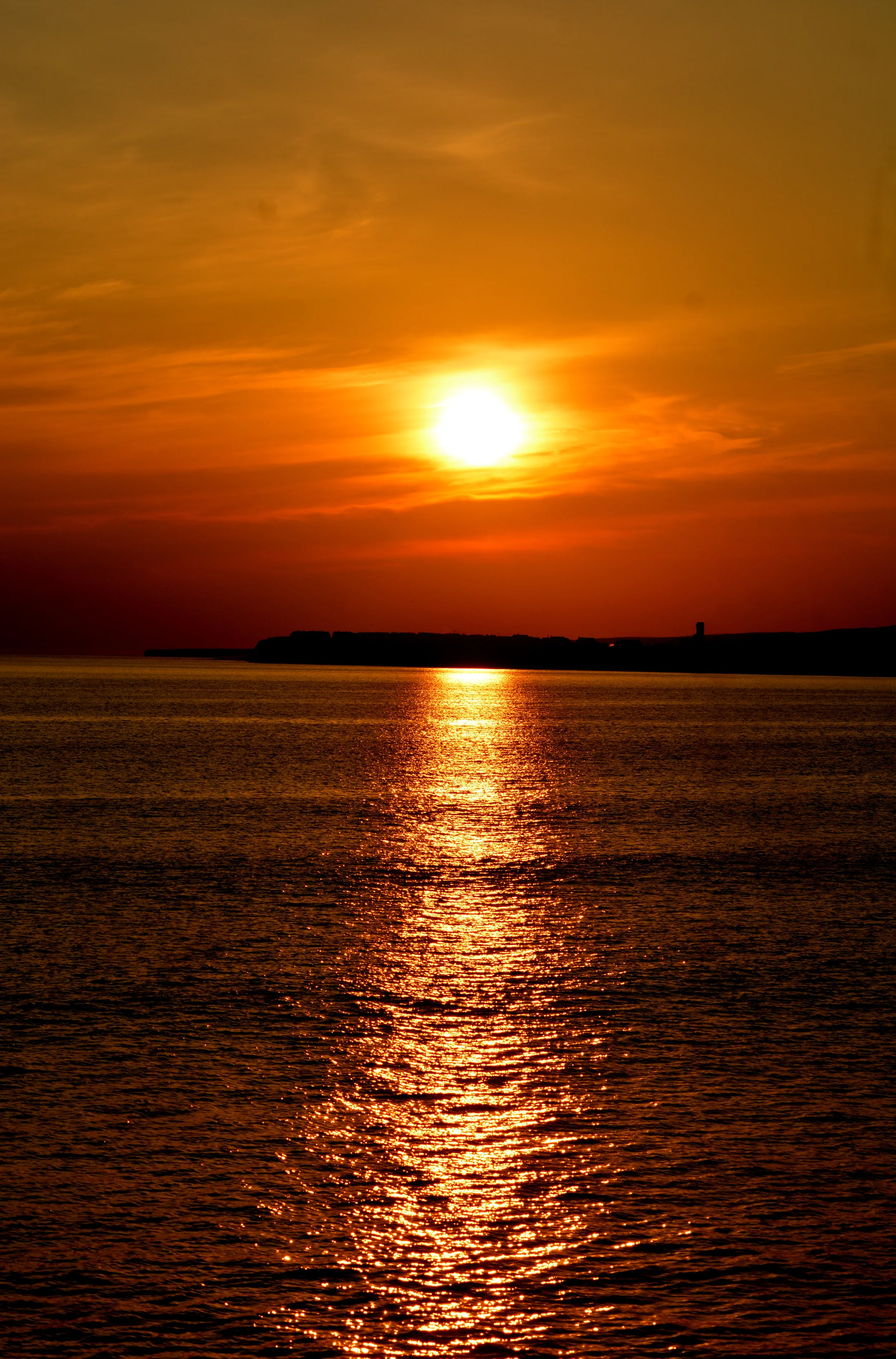 DSC_0558.JPG