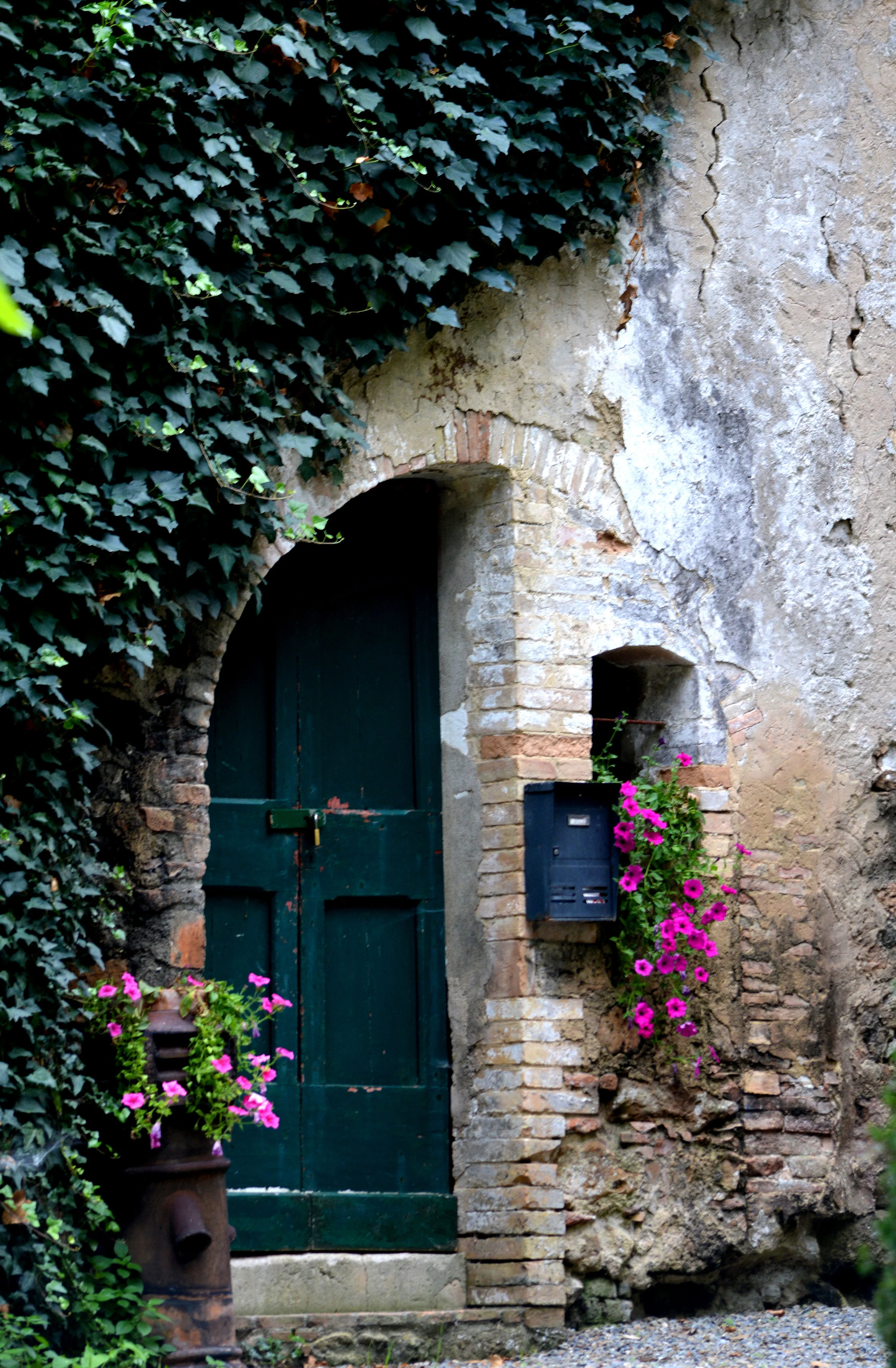 DSC_0205.JPG