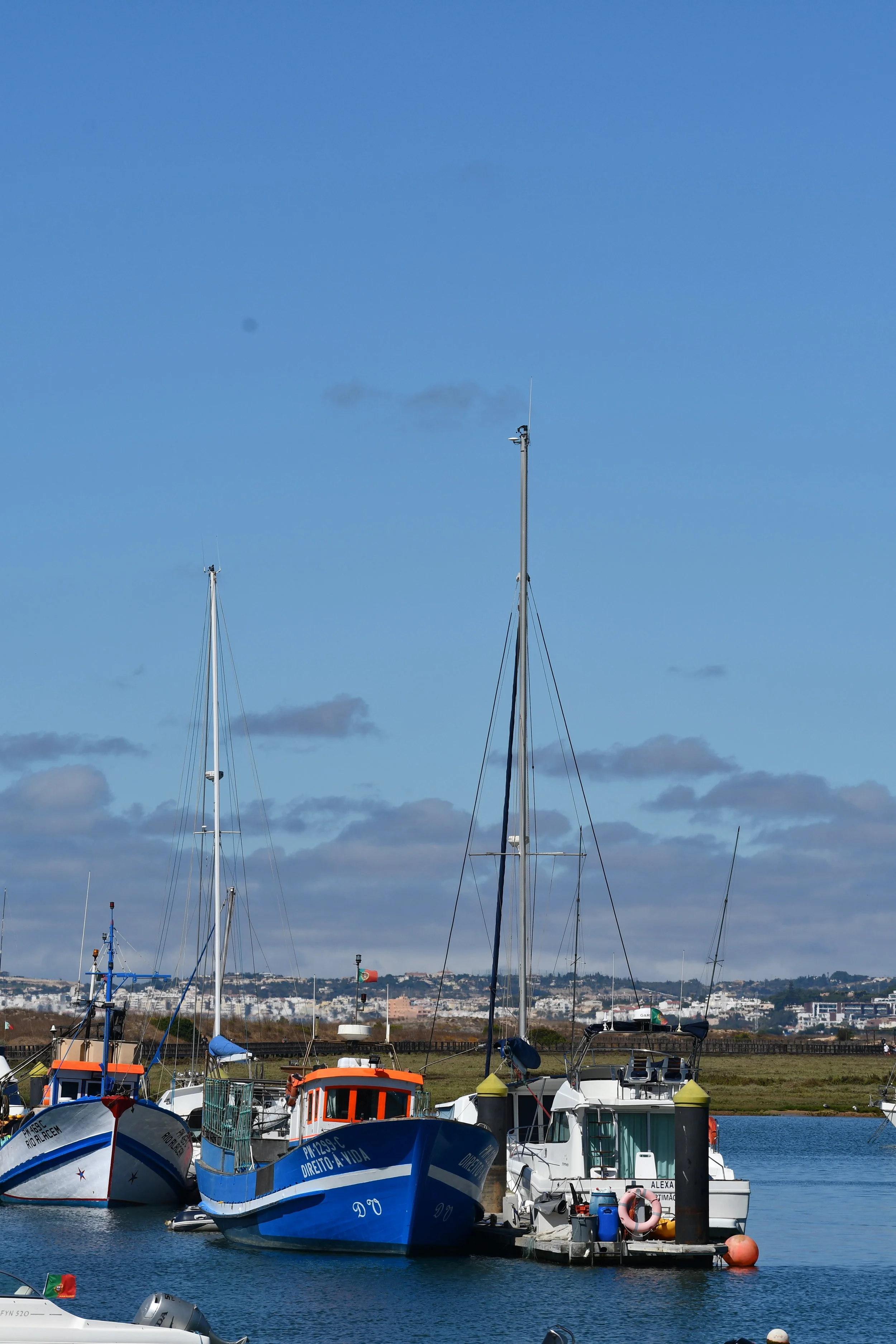DSC_4544.JPG