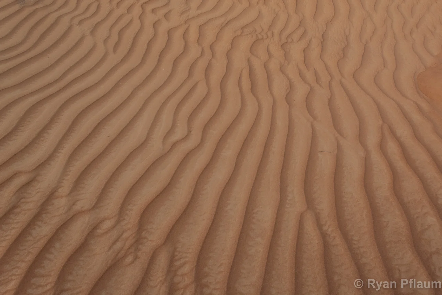 Dubai-39.jpg