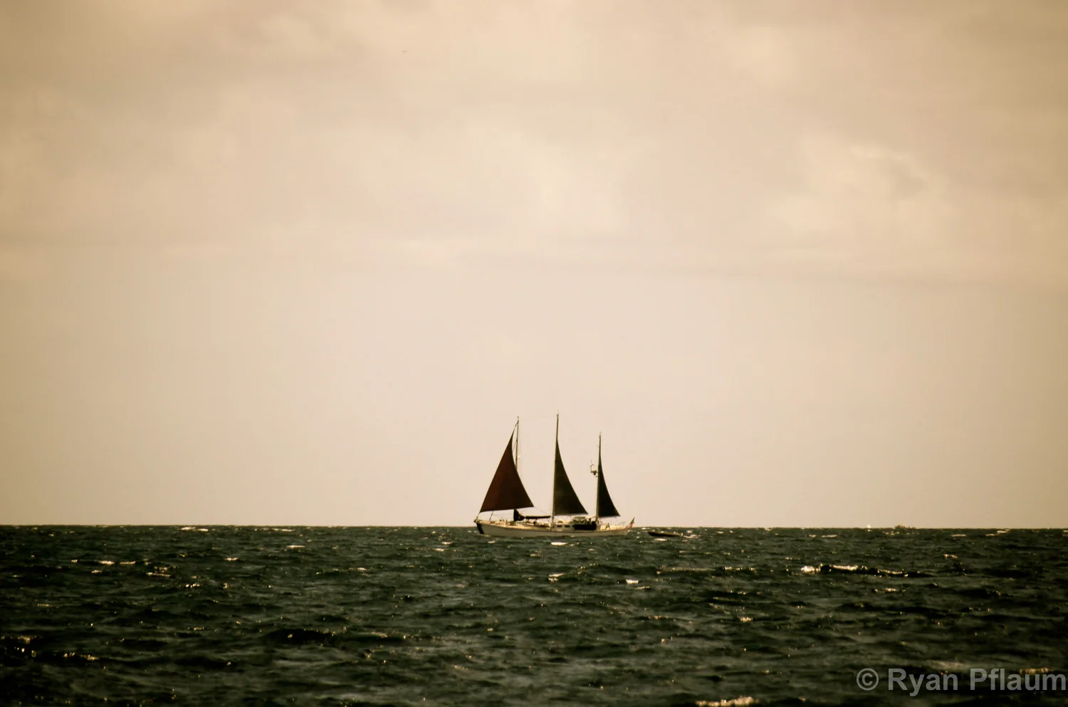 StKitts-71.jpg