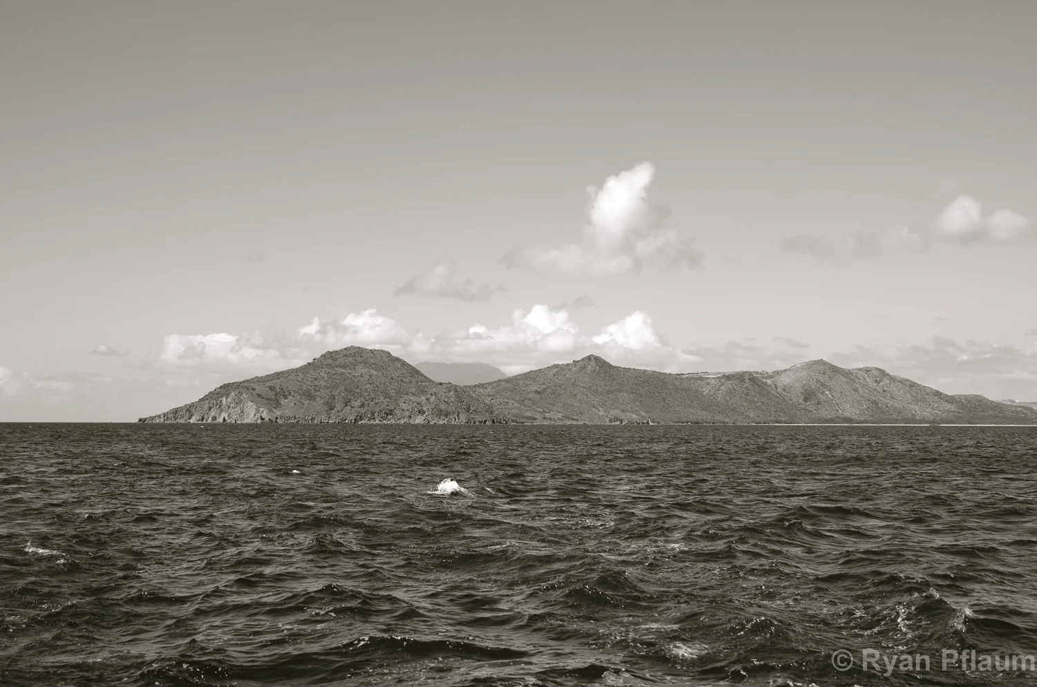 StKitts-81.jpg