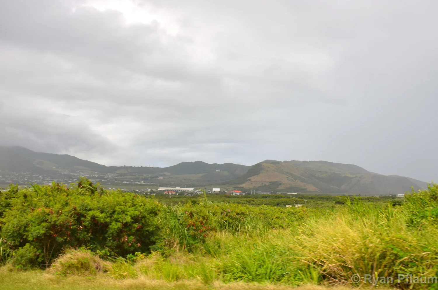 StKitts-92.jpg