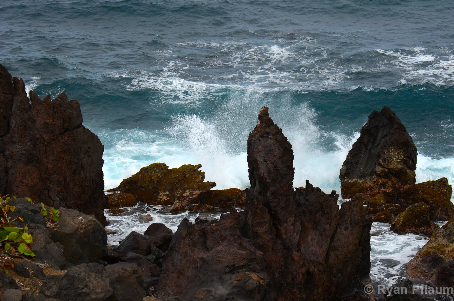 StKitts-132.jpg