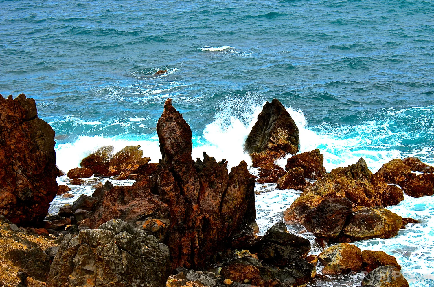 StKitts-134.jpg