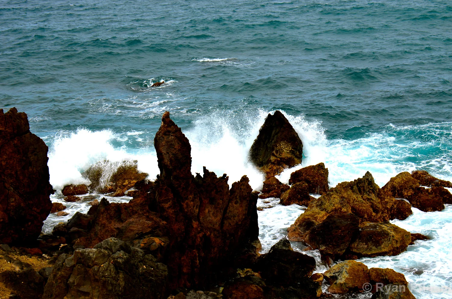 StKitts-135.jpg