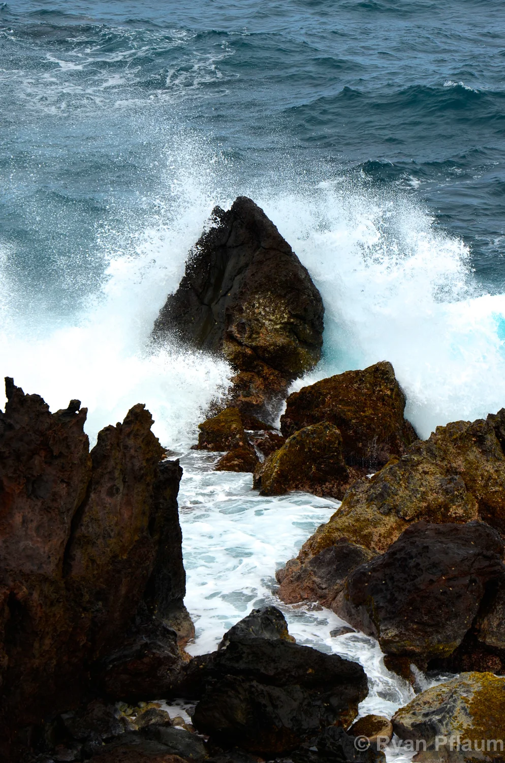 StKitts-137.jpg