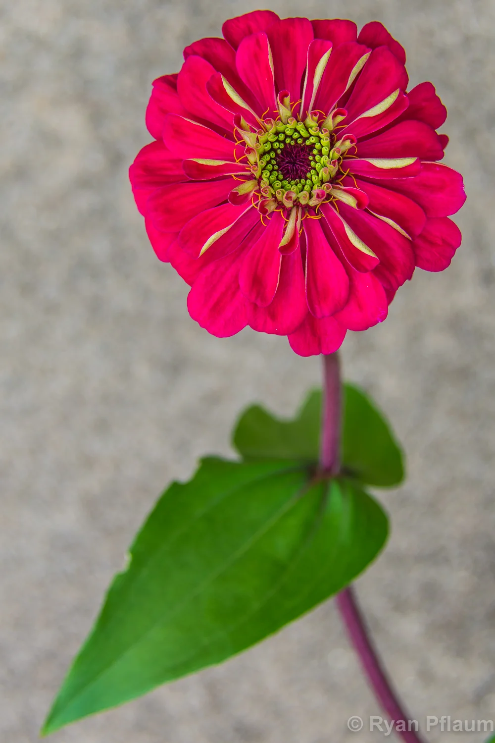 AultPark-5.jpg