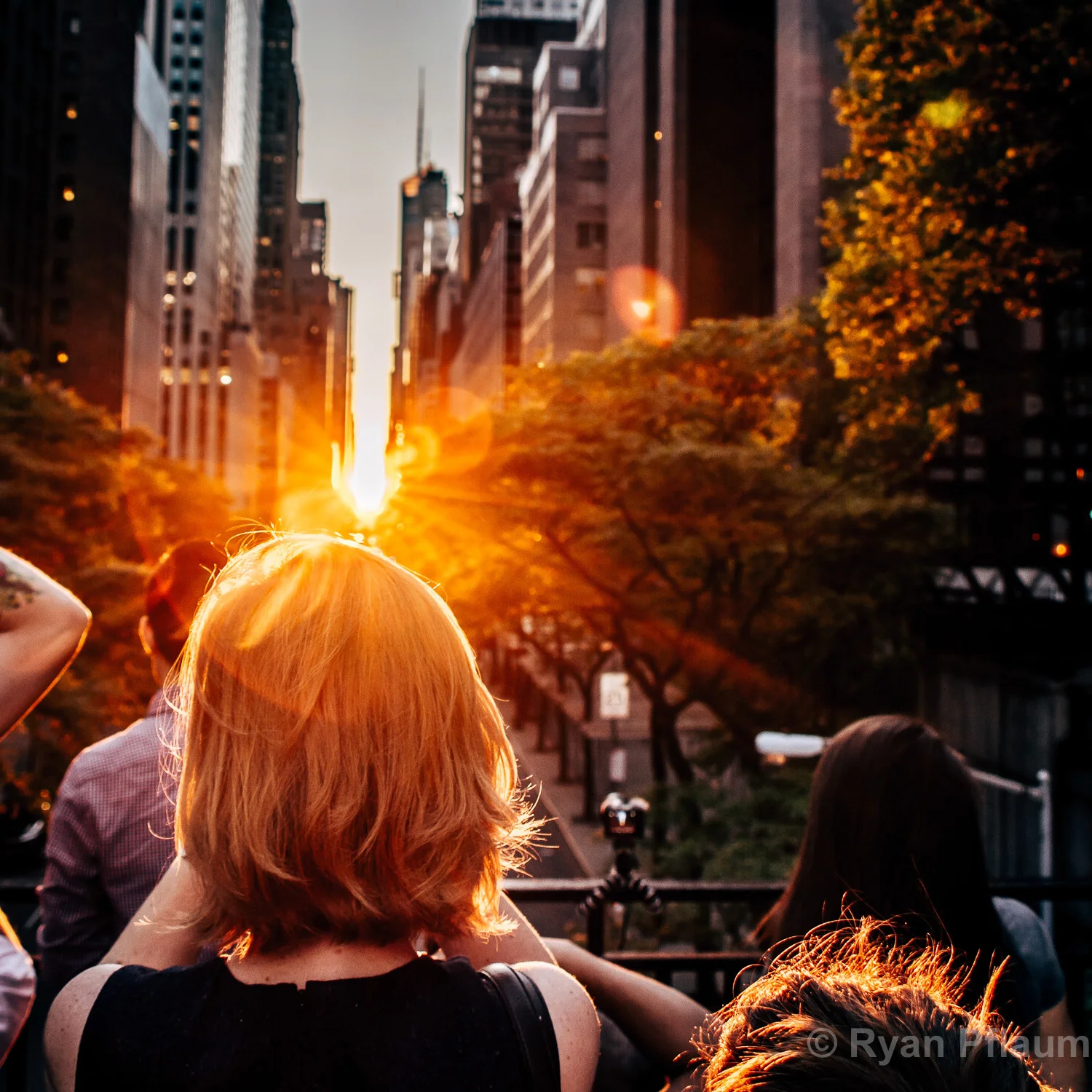 Day 7: Lens Flare