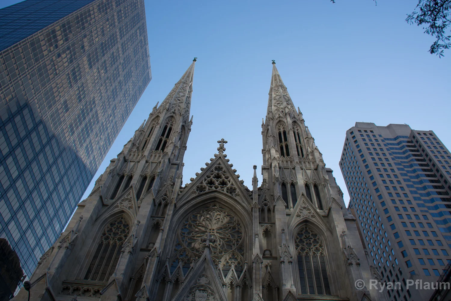 NYC2016-43.jpg