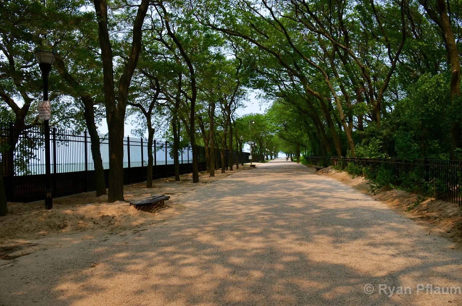 To view this photo go to http://ryanpflaum.phanfare.com/public