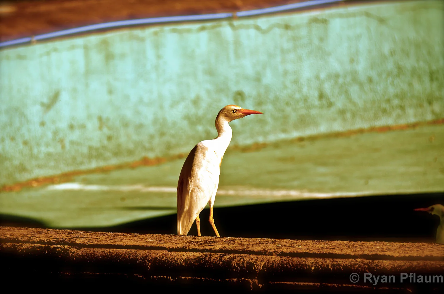 Travel-1.jpg