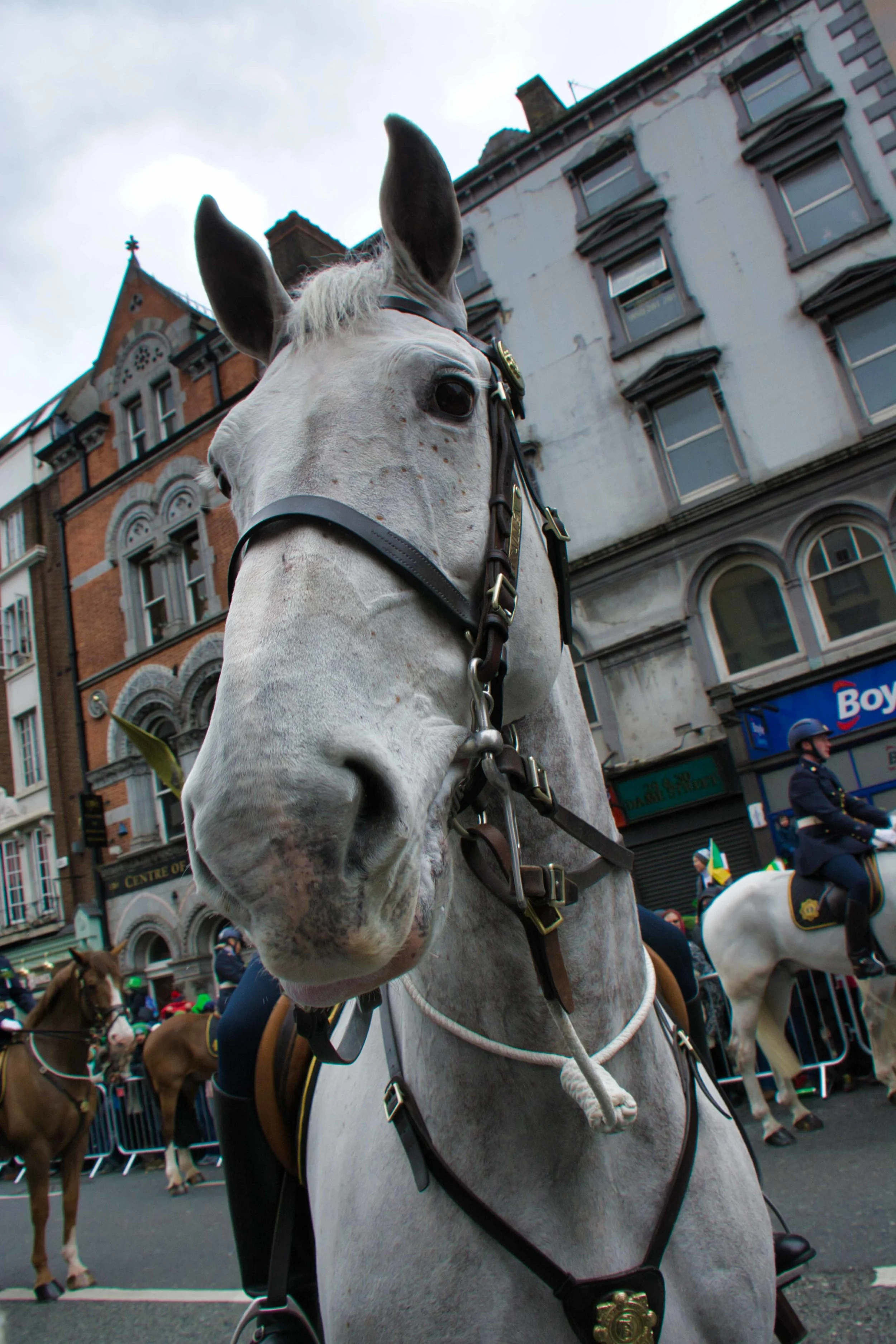 Dublin