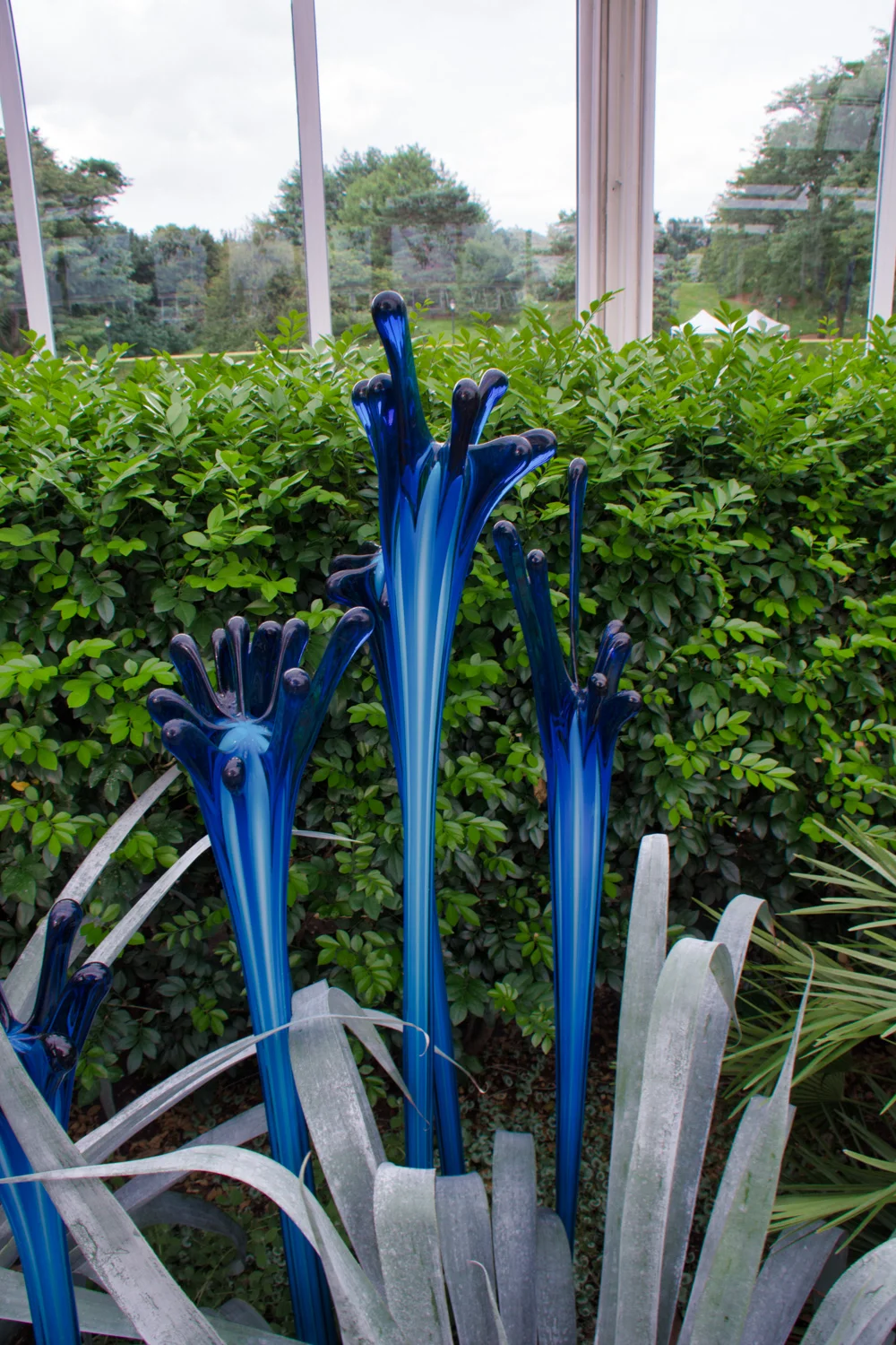 Botanical_Garden-19.jpg