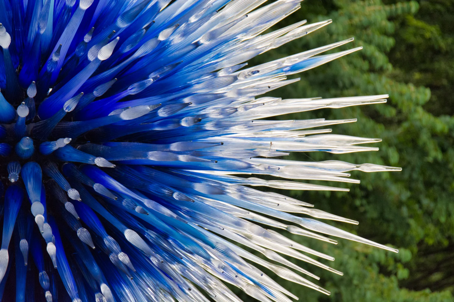 Chihuly