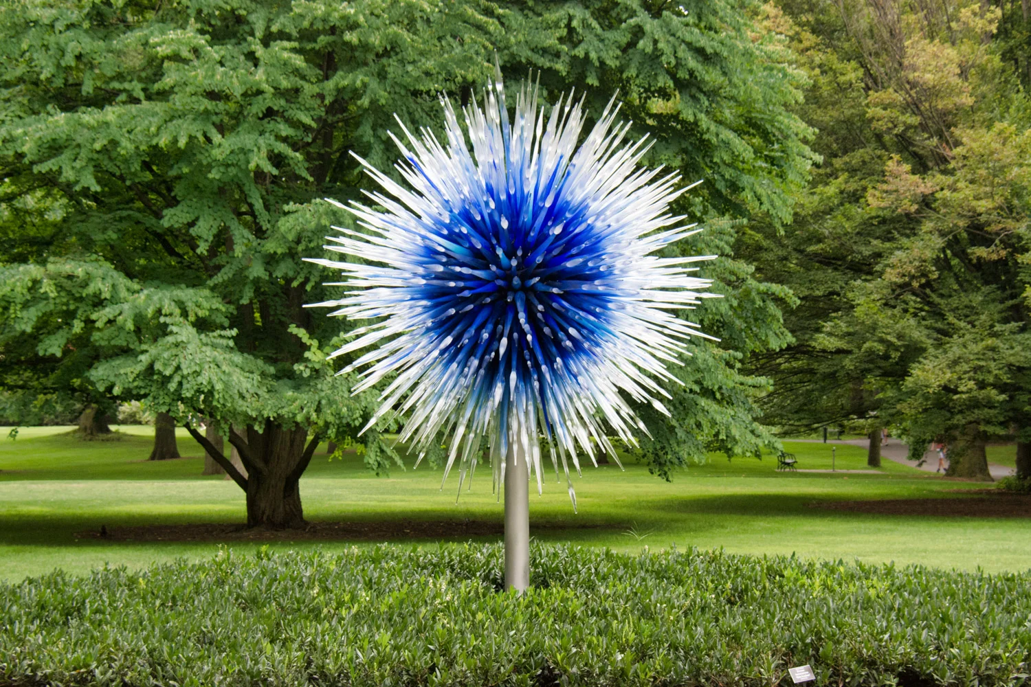 Chihuly