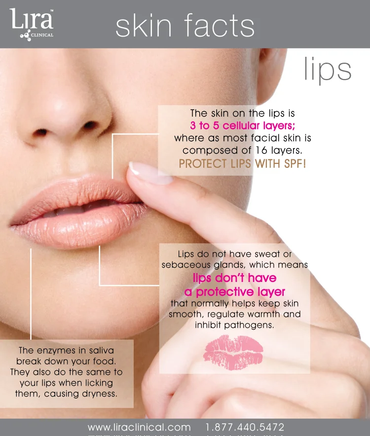 SKINFACTS-LIPS.jpg