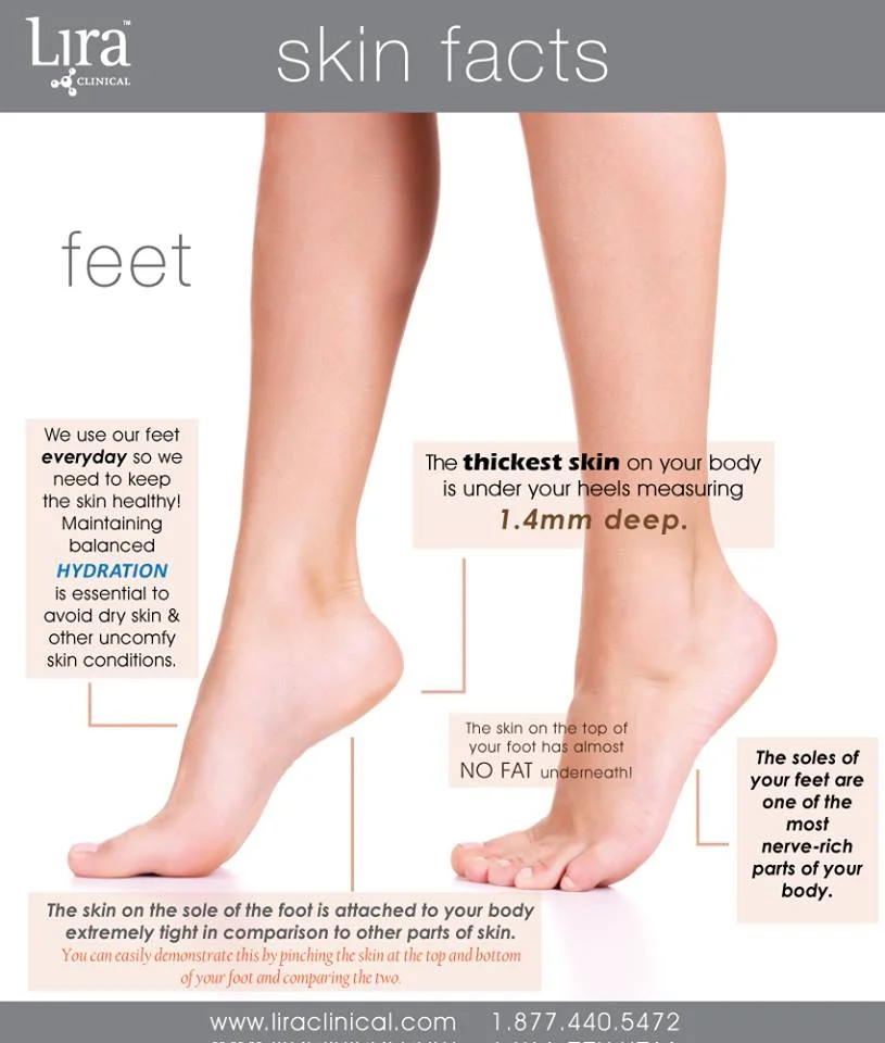 Skin Facts - Feet.jpg