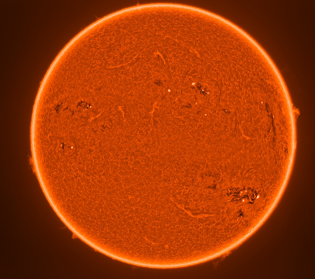 Sun Prominences.png