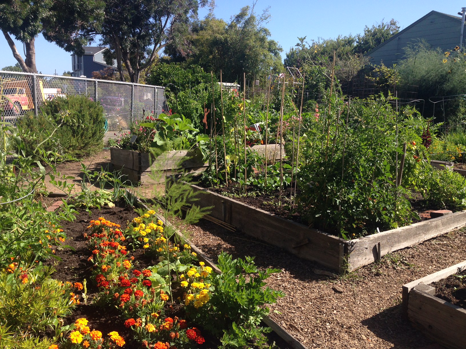 Karl Linn Community Garden is one of dozens of city-subsidized community gardens where residents can grow food.